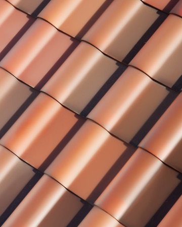 Tesla on sale roof colors
