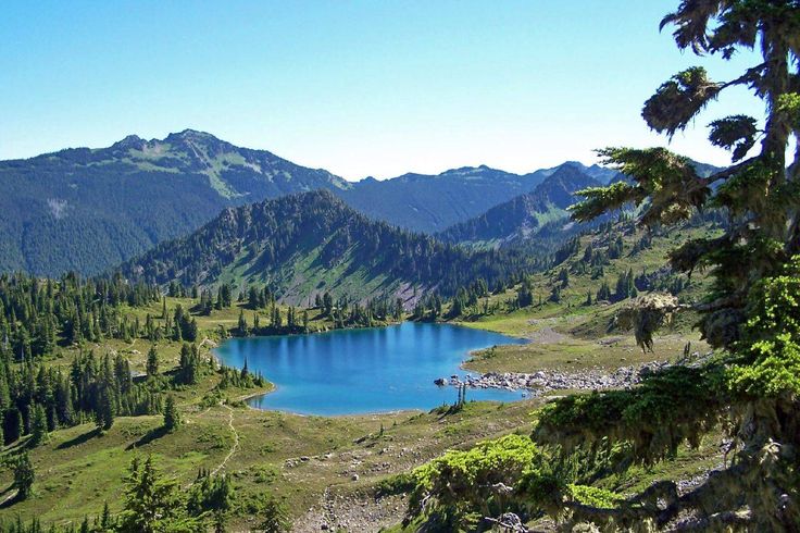 olympic national park, summer 2005