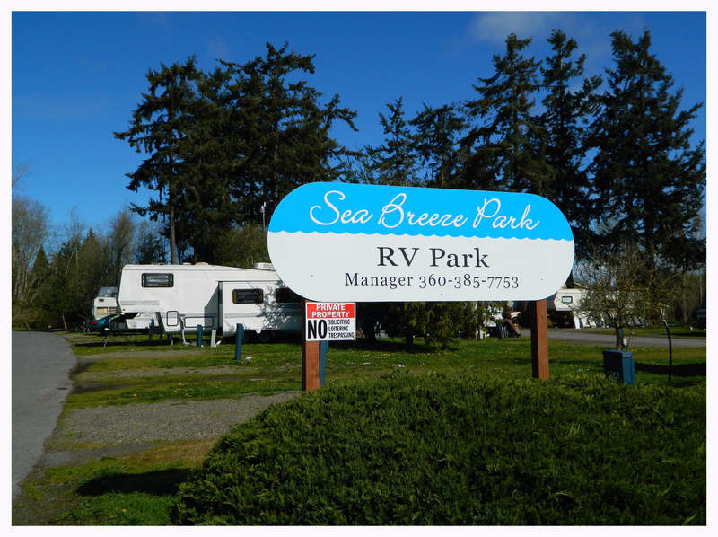 tiny home friendly rv park port townsend wa. 