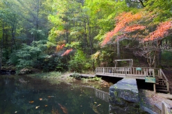 retreat-pond