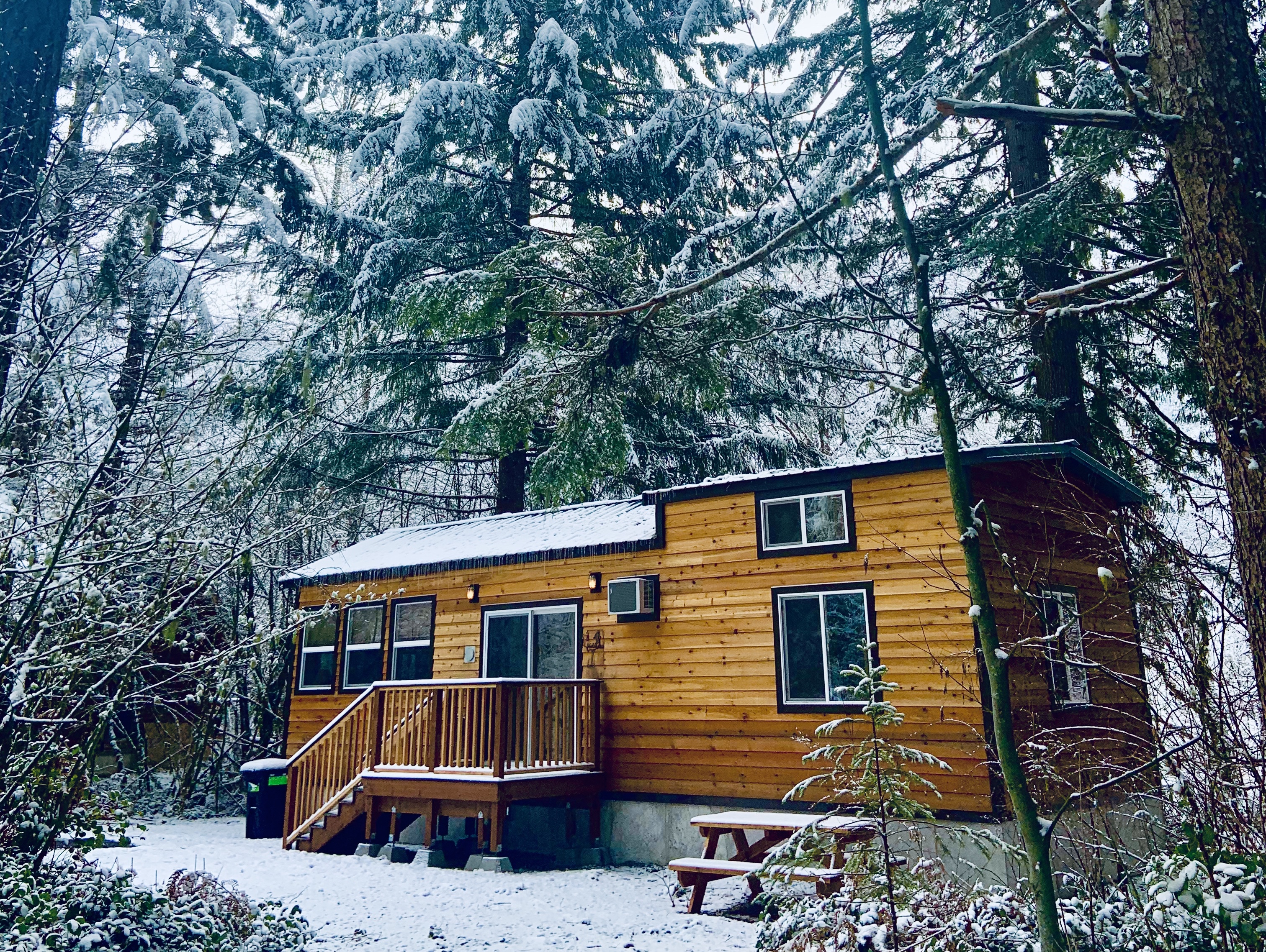 Betsy's Cabins 